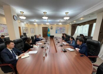 Carbon Neutrality Strategy discussed at the Ministry of Ecology