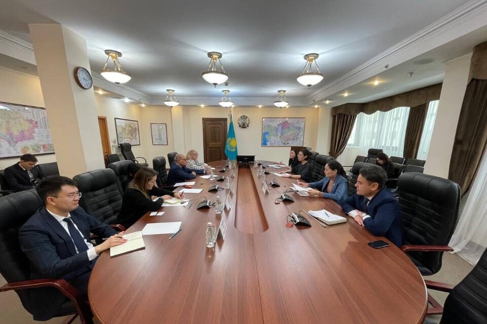 Carbon Neutrality Strategy discussed at the Ministry of Ecology