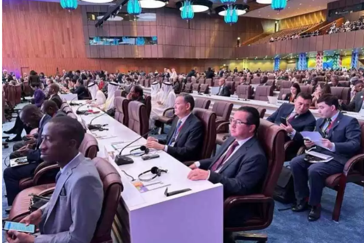 Kazakhstan presents its model of economic development for Group of World's Least Developed Countries