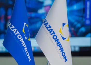 Для строительства завода по производству серной кислоты привлекут инвестора