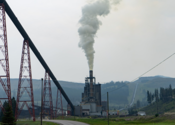 Инвестор из Турции может профинансировать завод в Туркестанской области